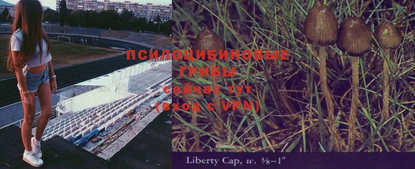2c-b Абинск