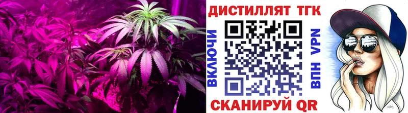 Дистиллят ТГК вейп с тгк  Серафимович 